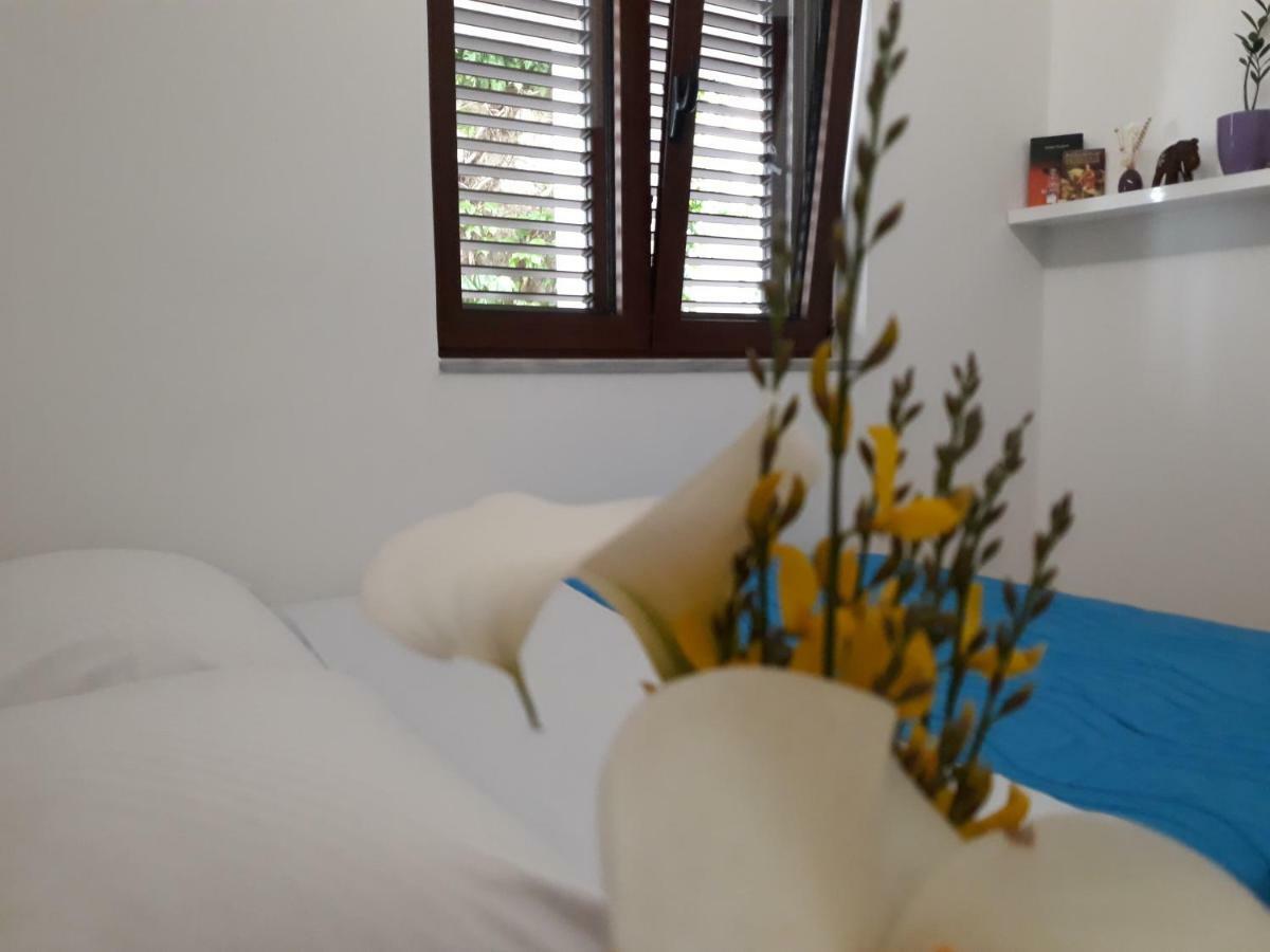 Apartments Ardura Петровац Экстерьер фото